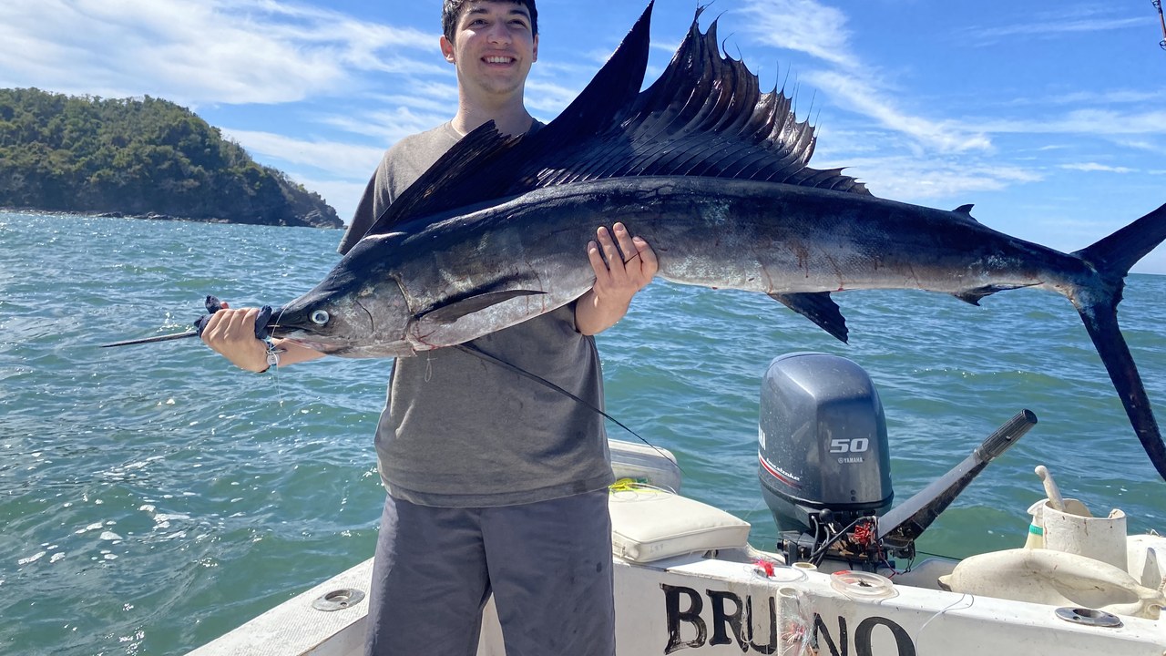 Sailfish — Image Credit: Cruetresin - CC BY-SA 4.0/Wiki Commons