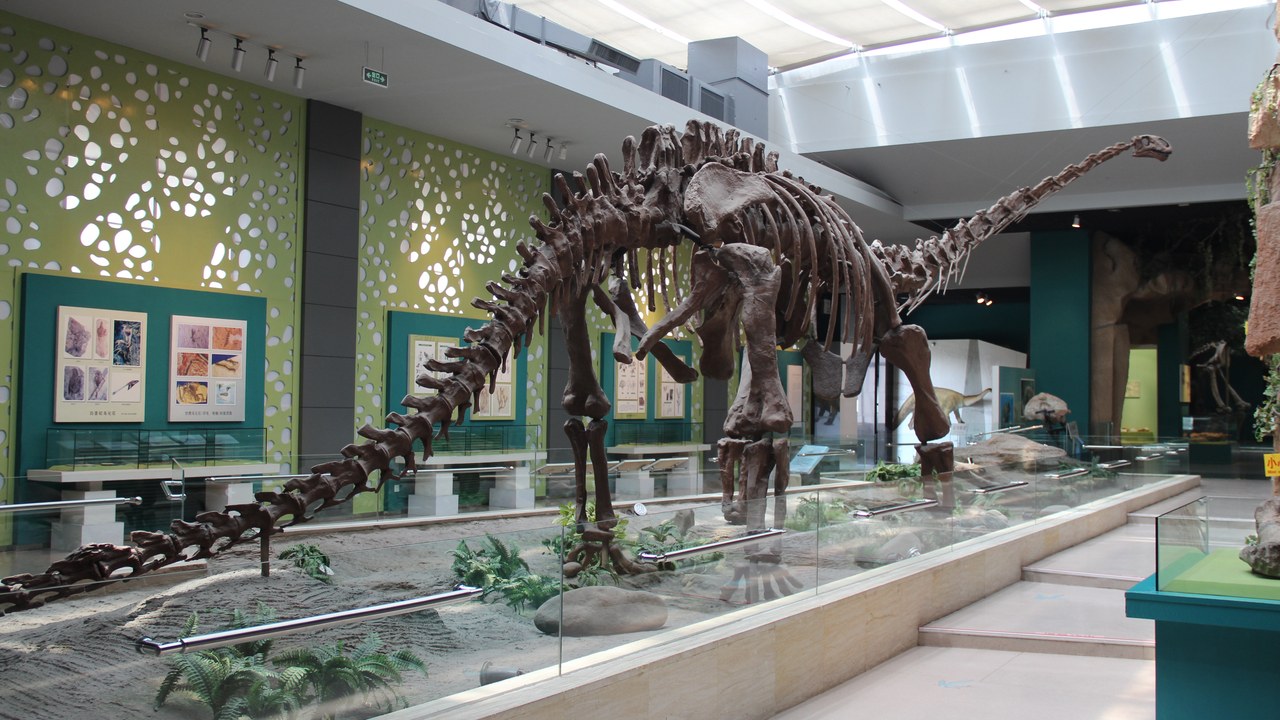 Mamenchisaurus — Image Credit: Gary Todd from Xinzheng, China - CC0/Wiki Commons