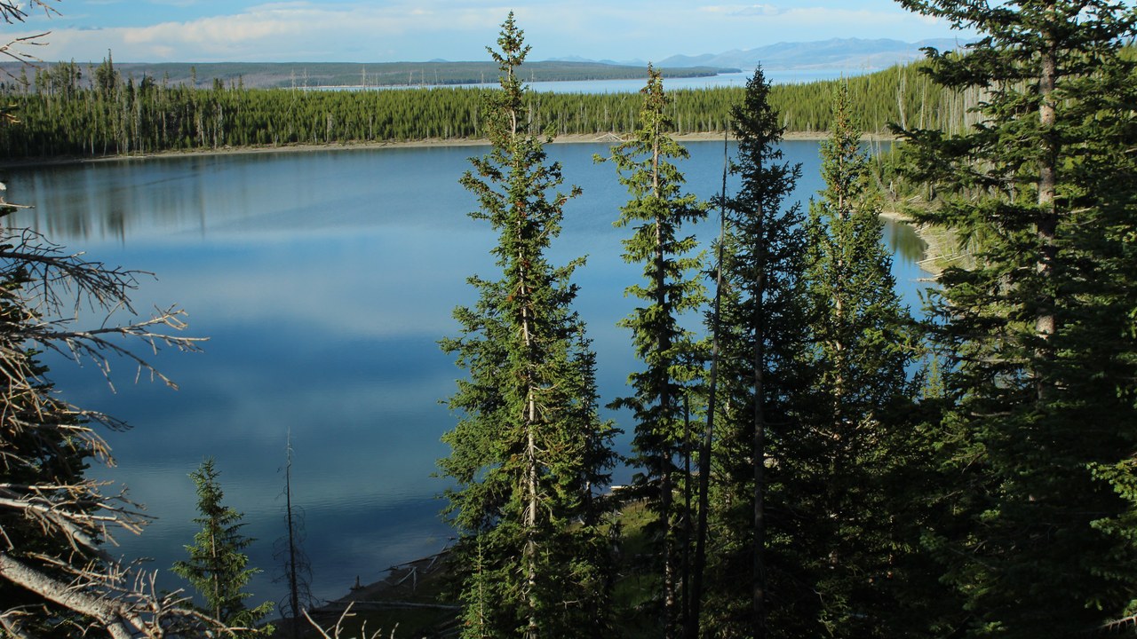 Yellowstone Caldera — Image Credit: Miguel Hermoso Cuesta - CC BY-SA 4.0/Wiki Commons