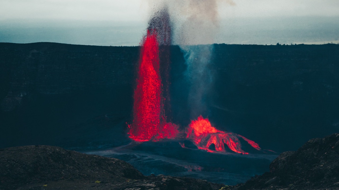 Michael Li/Pexels