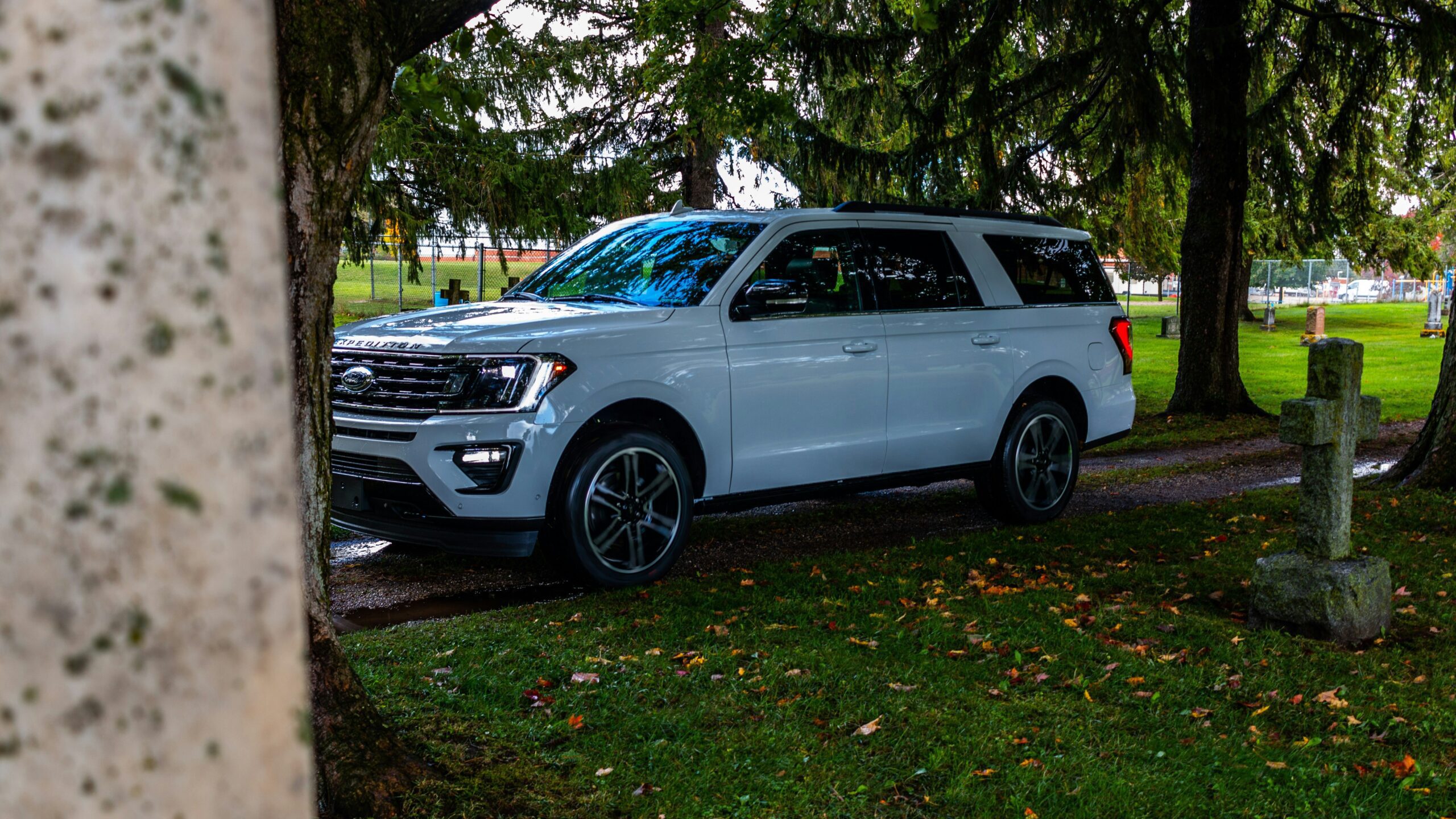 white sedan parked beside tree during daytime