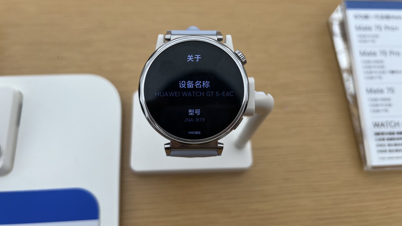 Huawei Watch GT — Image Credit: メイド理世 - CC BY-SA 2.0/Wiki Commons