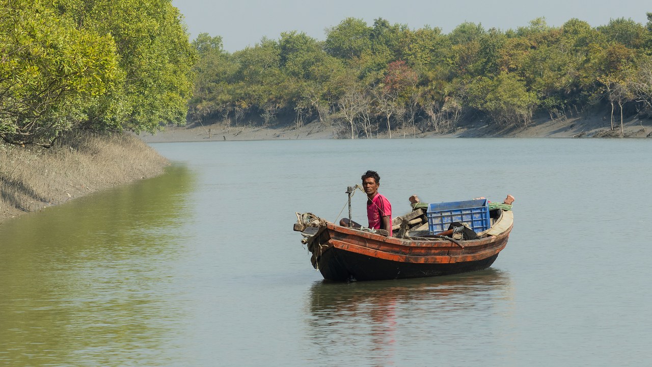 Sundarbans National Park (India) — Image Credit: Paramanu Sarkar - CC BY-SA 4.0/Wiki Commons