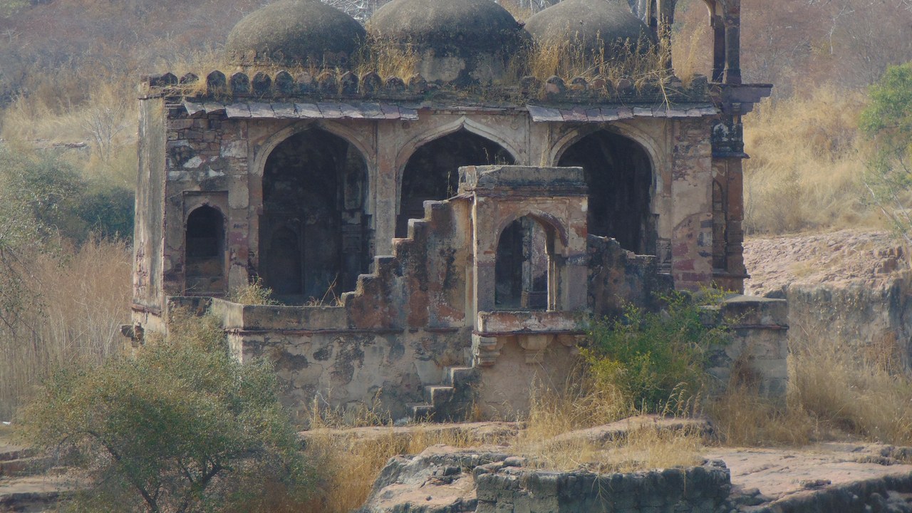 Ranthambore National Park (India) — Image Credit: Aishwary Goyal - CC BY-SA 4.0/Wiki Commons