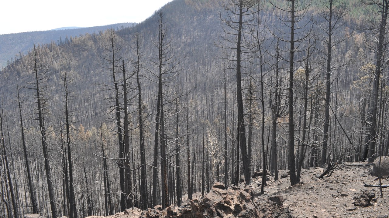 Wallow Fire — Image Credit: Dorsman - CC BY-SA 3.0/Wiki Commons