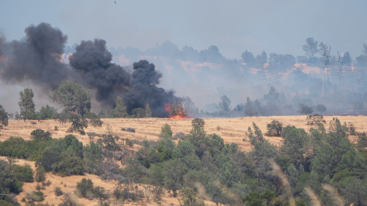 Park Fire — Image Credit: Caleb Hearn - CC0/Wiki Commons