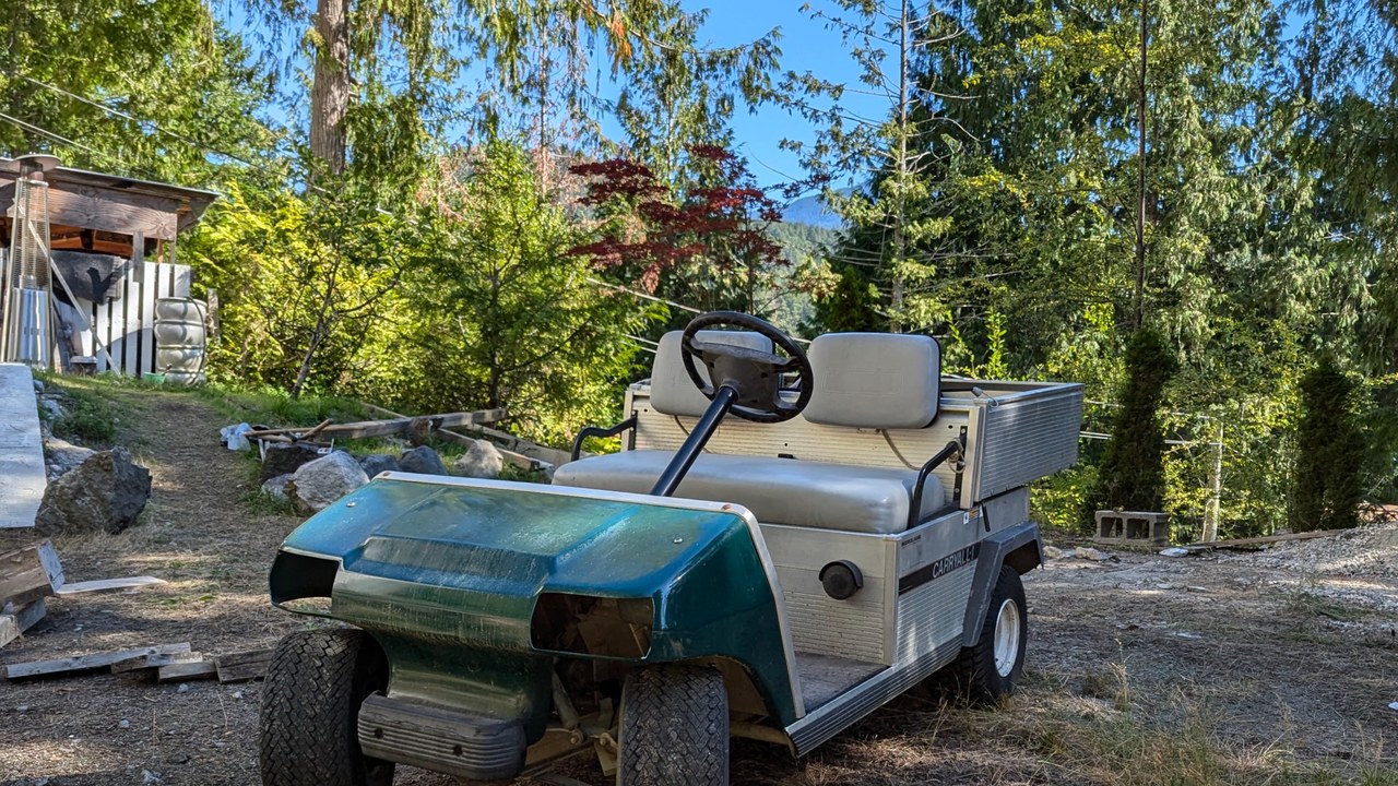 Golf cart — Image Credit: Emma0mb - CC BY 4.0/Wiki Commons