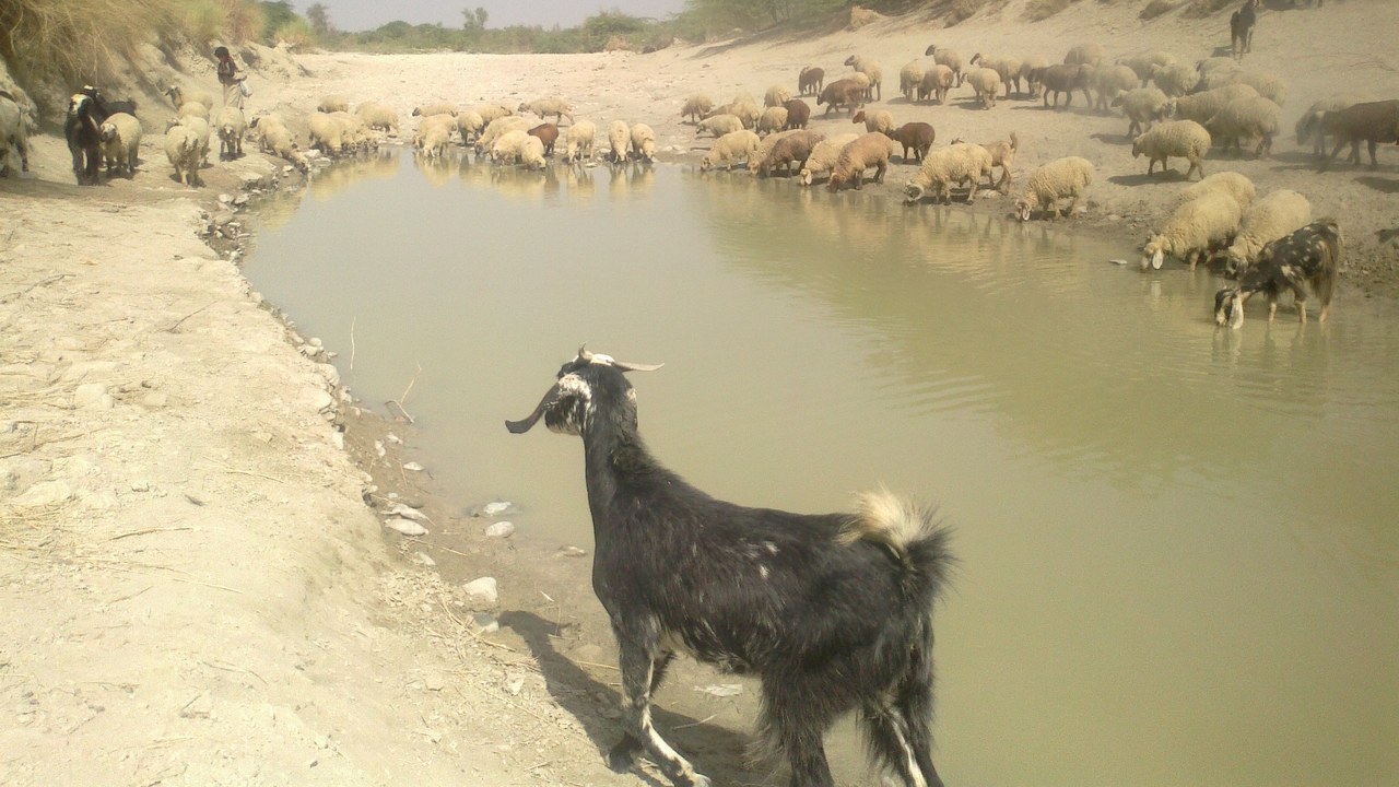 Turbat (Pakistan) — Image Credit: Azeem baloch - CC BY-SA 3.0/Wiki Commons