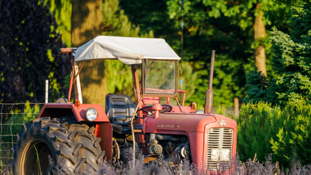 Massey Ferguson 35 — Image Credit: JoachimKohler-HB - CC BY-SA 4.0/Wiki Commons