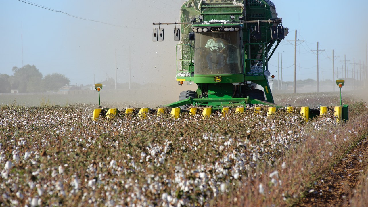 Cotton picker — Image Credit: USDA NRCS Texas - Public domain/Wiki Commons