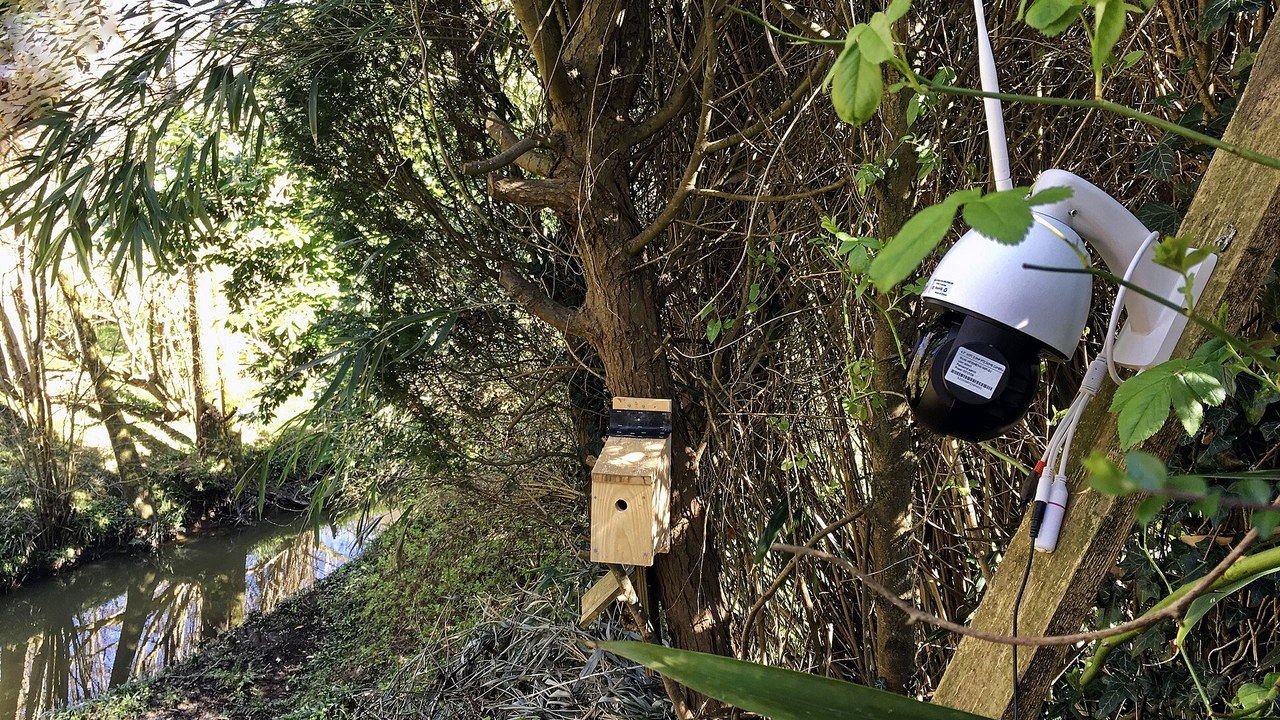 Home security camera — Image Credit: Acabashi - CC BY-SA 4.0/Wiki Commons