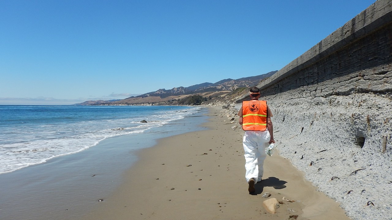 Refugio oil spill — Image Credit: Pacific Southwest Region USFWS from Sacramento, US - Public domain/Wiki Commons