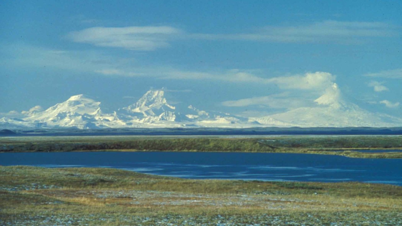 1946 Aleutian Islands earthquake — Image Credit: Sarvis John, U.S. Fish and Wildlife Service - Public domain/Wiki Commons