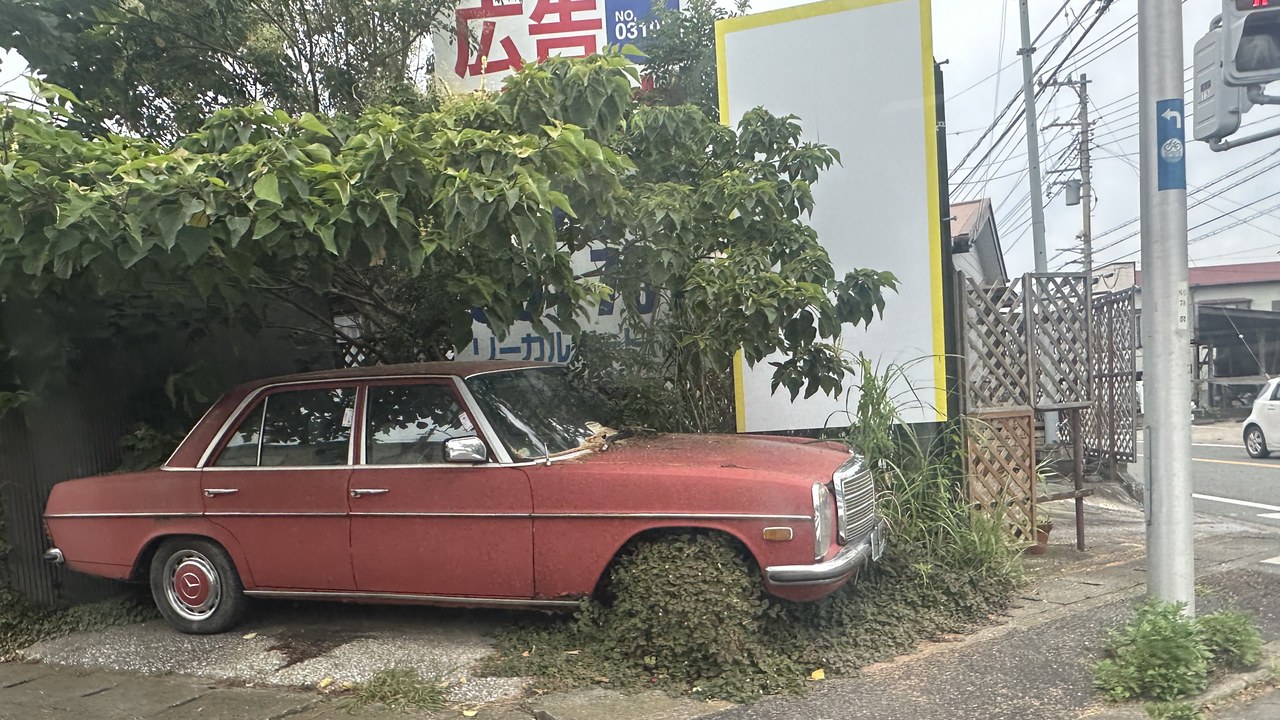 Mercedes-Benz 240 D — Image Credit: Nesnad - CC BY 4.0/Wiki Commons