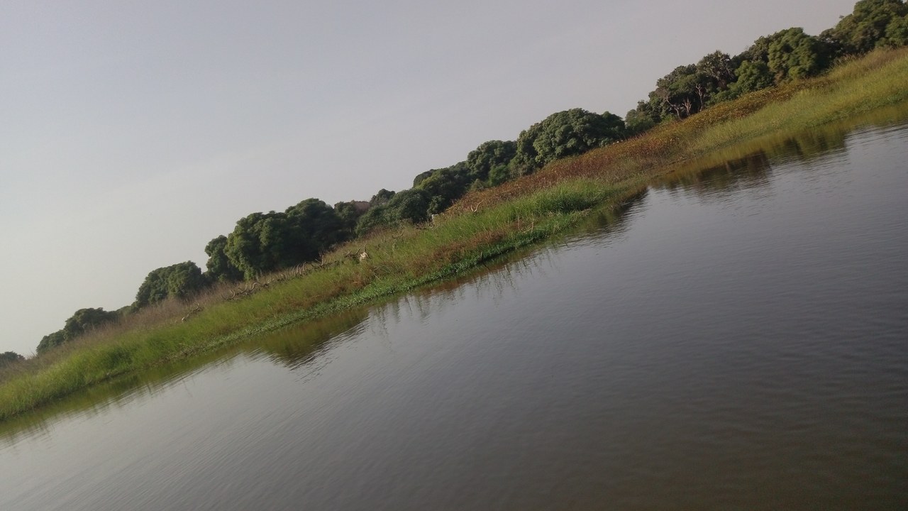 Lake Chad — Image Credit: Coolthoom1 - CC BY-SA 4.0/Wiki Commons