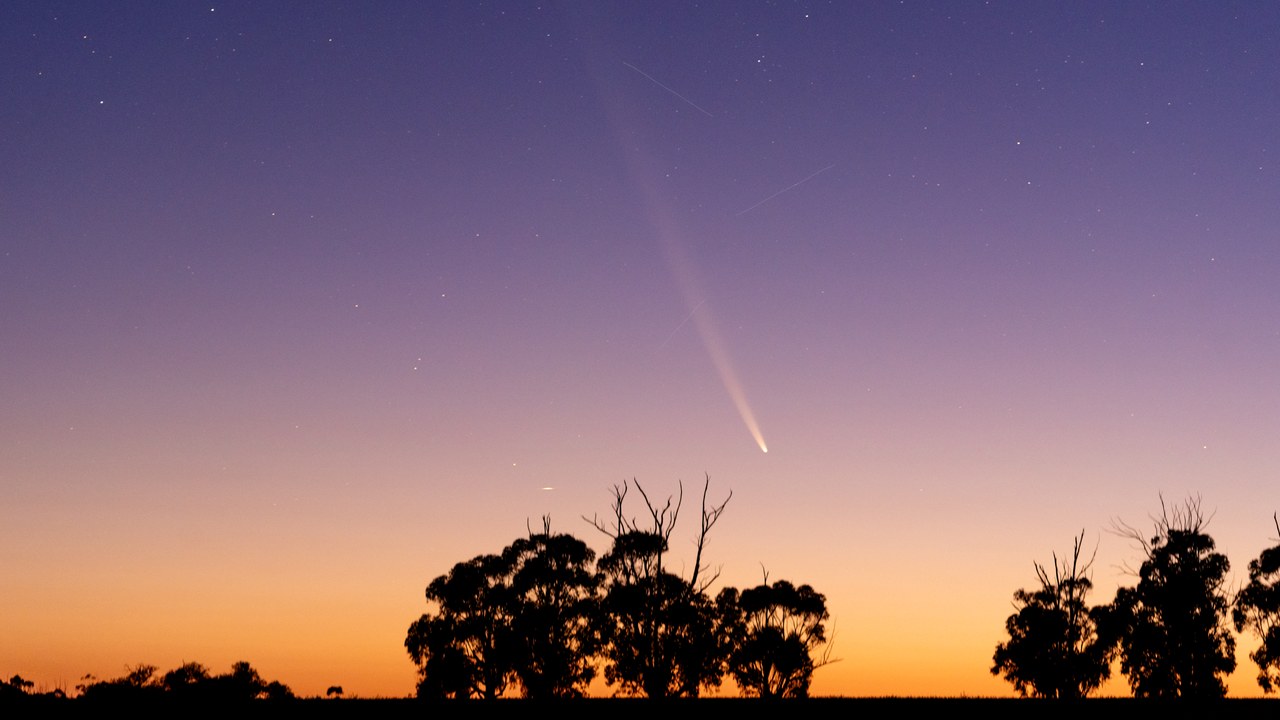 Comet Tsuchinshan–ATLAS — Image Credit: cafuego - CC BY-SA 2.0/Wiki Commons
