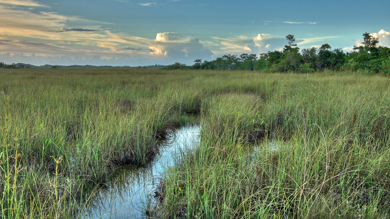Everglades National Park — Image Credit: evergladesnps - Public domain/Wiki Commons