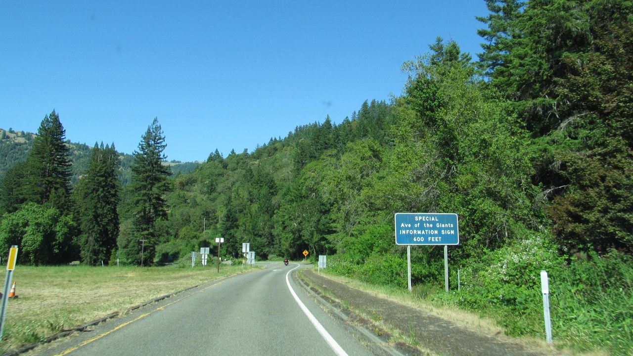 Avenue of the Giants — Image Credit: Dougtone - CC BY-SA 2.0/Wiki Commons