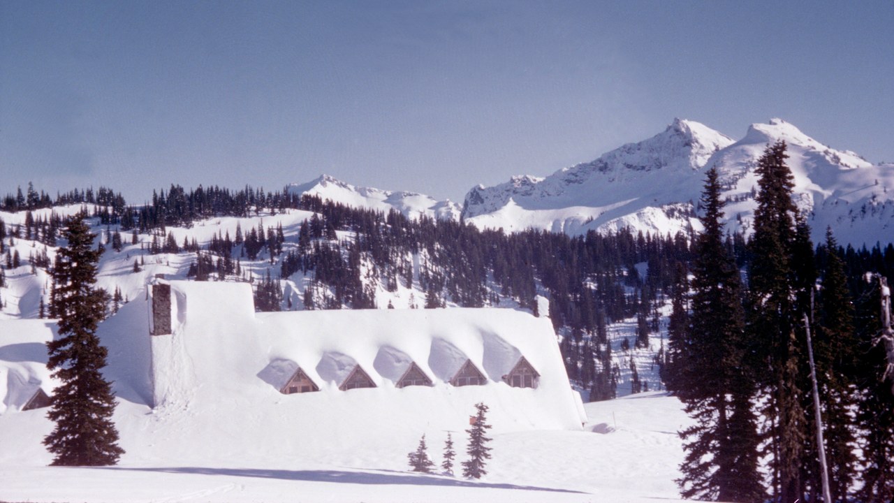 Paradise, Mount Rainier — Image Credit: Mount Rainier National Park from Ashford, WA, United States - Public domain/Wiki Commons