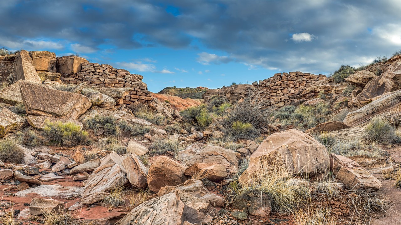 Petrified Forest National Park — Image Credit: Andrew Kearns from Mill Valley, United States - CC BY 2.0/Wiki Commons