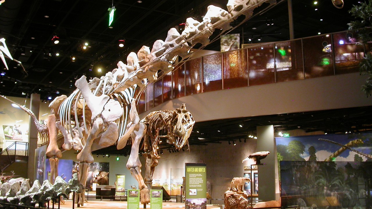 Alamosaurus — Image Credit: Dr. Matt Wedel - CC BY 4.0/Wiki Commons