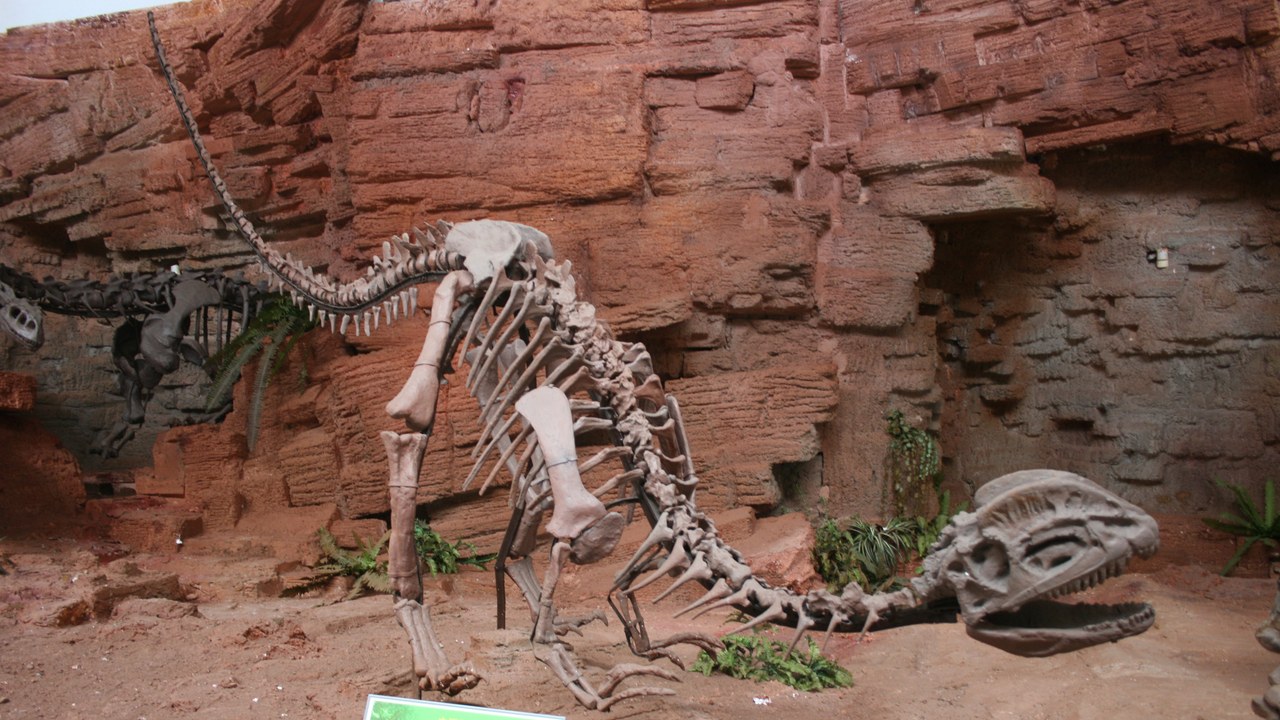 Dilophosaurus — Image Credit: Gary Todd from Xinzheng, China - CC0/Wiki Commons