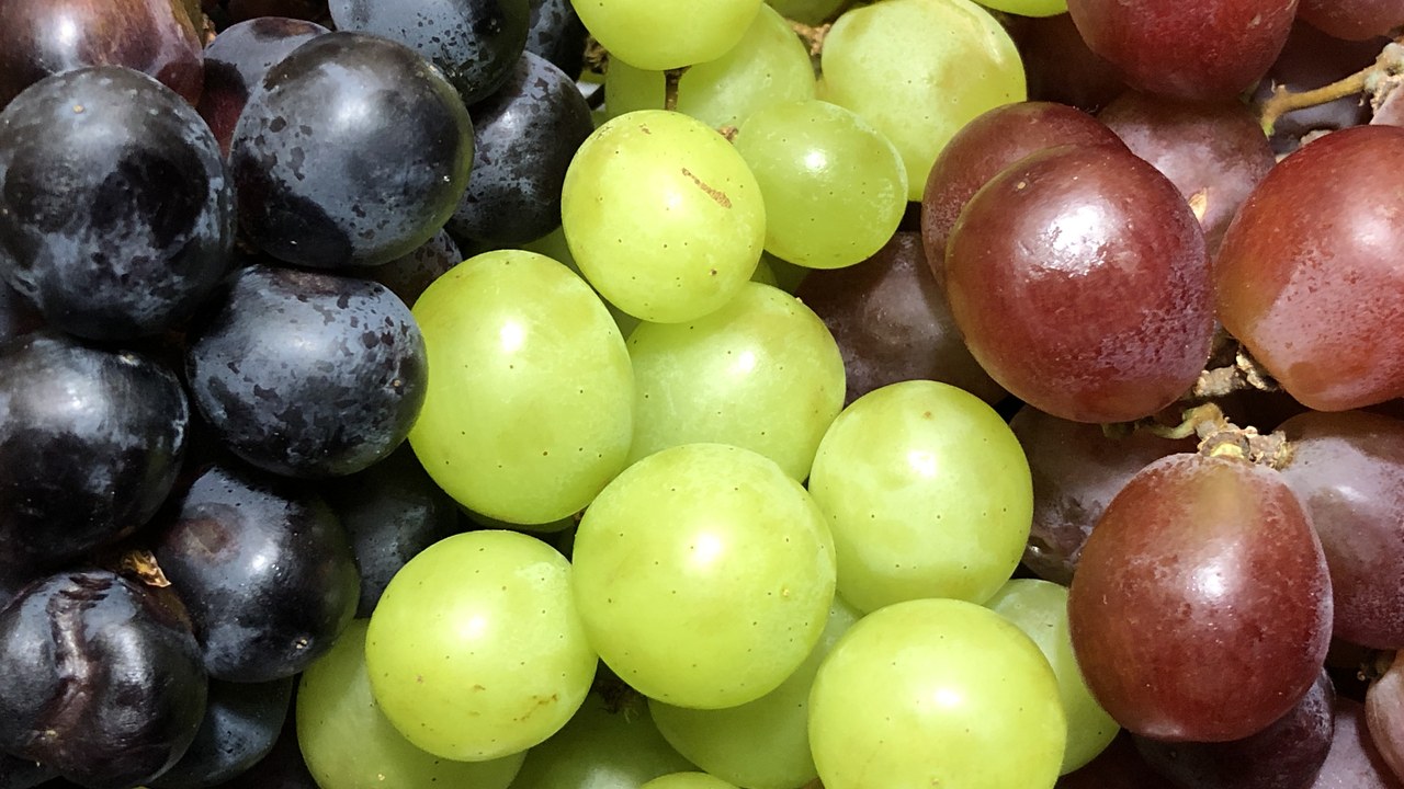 Grapes — Image Credit: Famartin - CC BY-SA 4.0/Wiki Commons