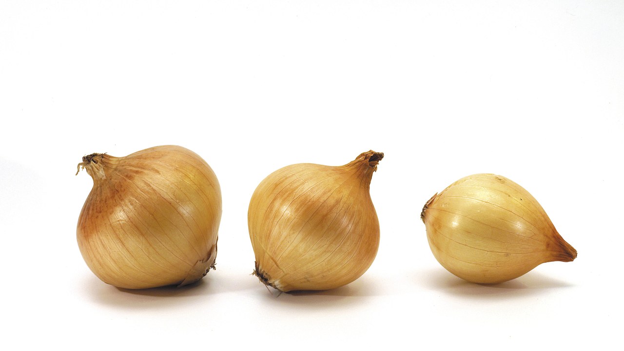 Onion — Image Credit: Dubravko Sorić SoraZG on Flickr - CC BY 2.0/Wiki Commons