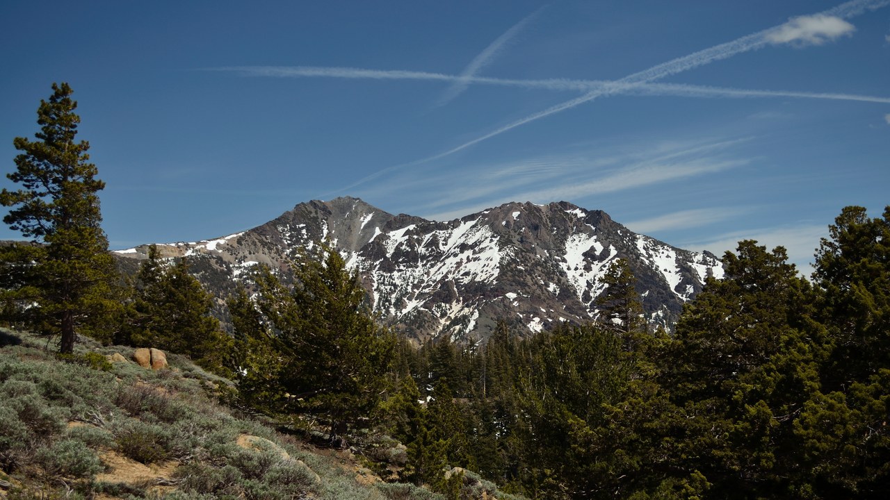 Ebbetts Pass — Image Credit: Tom Hilton - CC BY 2.0/Wiki Commons