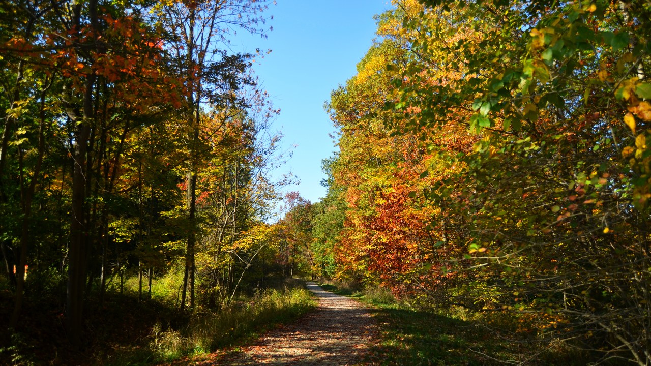 Cuyahoga Valley National Park — Image Credit: Erik Drost - CC BY 2.0/Wiki Commons