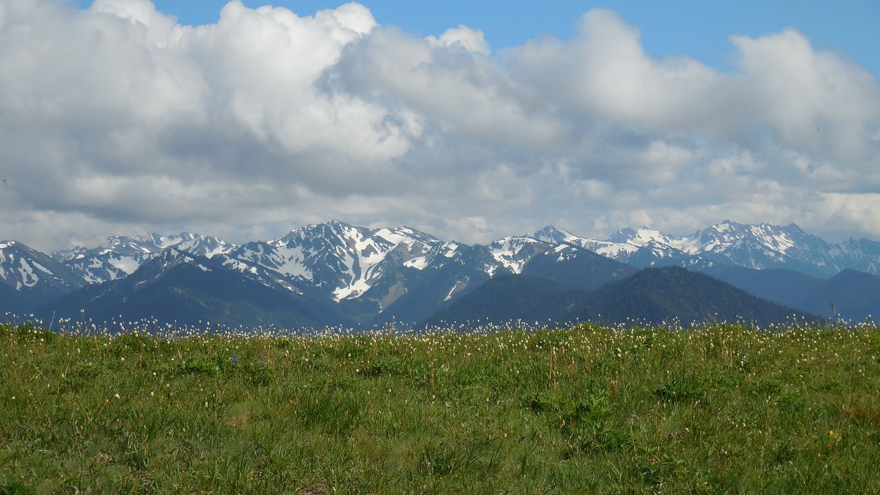 Olympic National Park — Image Credit: Olympic National Park - Public domain/Wiki Commons