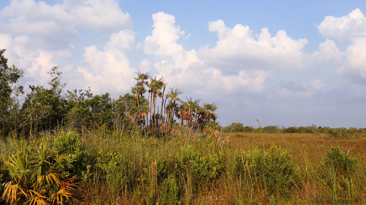 Everglades National Park — Image Credit: evergladesnps - Public domain/Wiki Commons