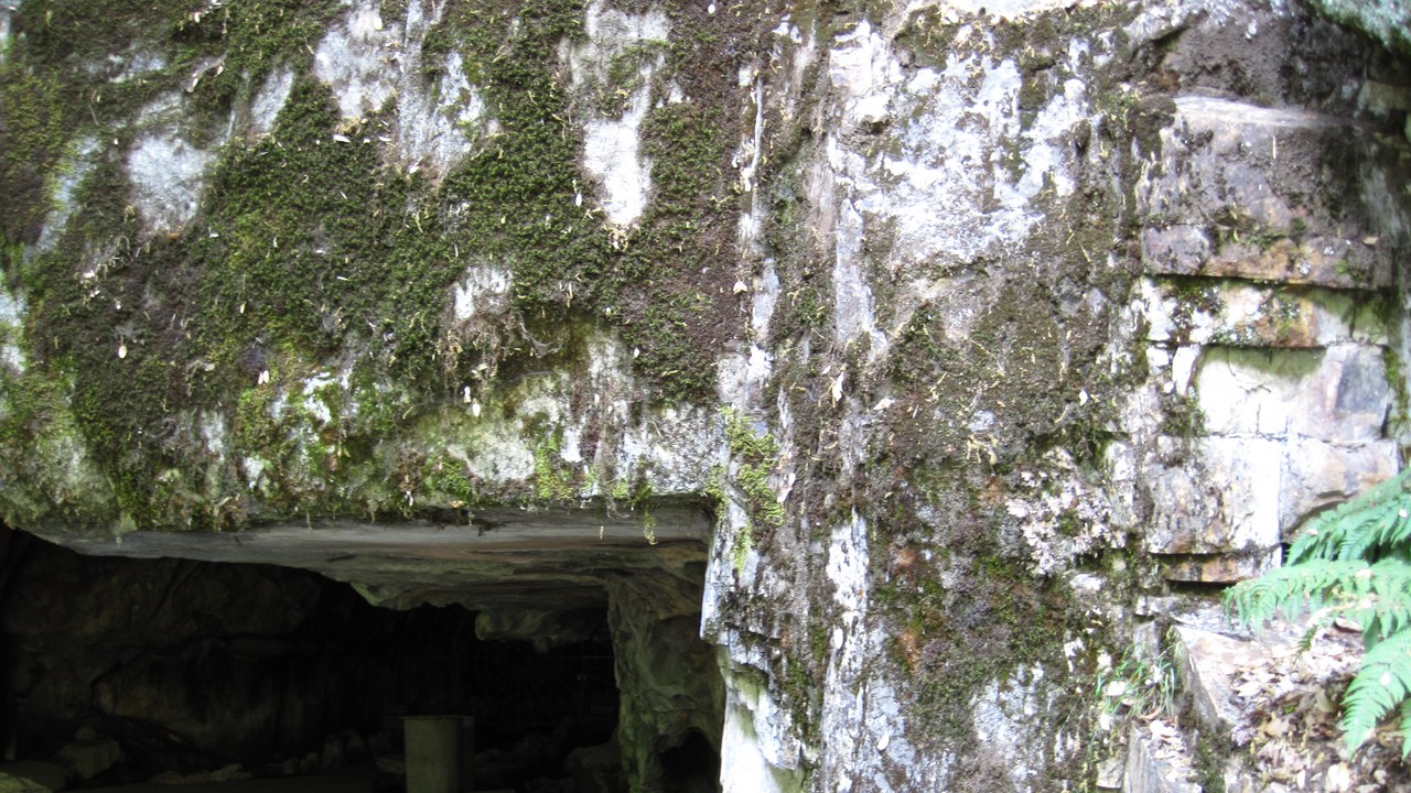 Crystal Cave (Sequoia) — Image Credit: James St. John - CC BY 2.0/Wiki Commons