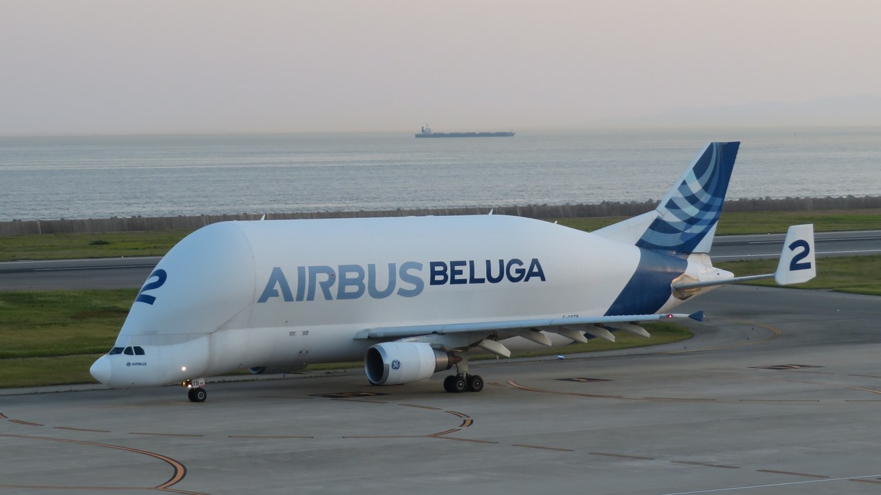 Airbus Beluga — Image Credit: Wiki Commons - CC BY-SA 4.0/Wiki Commons
